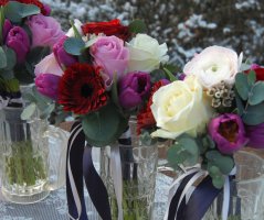 Vánoční svatba v Průhonicích