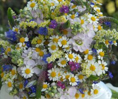 Svatba na lodi Rohan Boat Prague