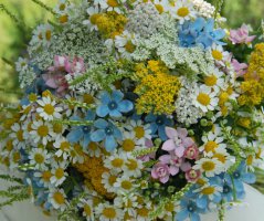 Svatba v kostele Neratov