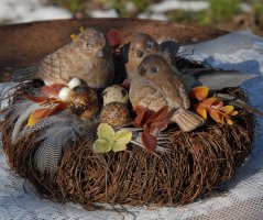 Jaro 2019 - dekorace