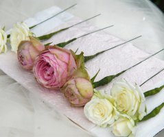 Svatba na Dobříšském zámku