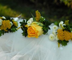 Letní sluníčková svatba