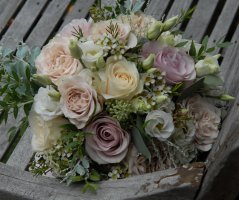 Svatba na zámku Mitrowicz