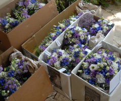 Svatba v Garden Parku