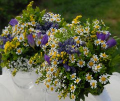 Luční svatba v přírodě