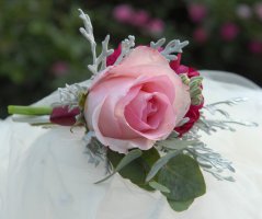 V malinových tónech