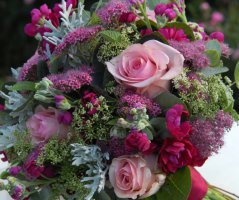 V malinových tónech