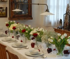 Pro milovníky tulipánů