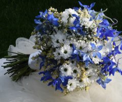 Luční svatby 2022/23