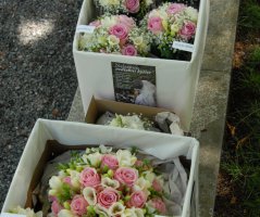 Svatba ve Villa Voyta