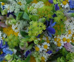 Letní luční svatba