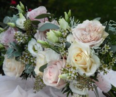 Svatba na zámku Mitrowicz