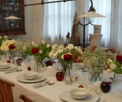 Pro milovníky tulipánů