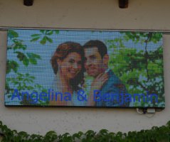 Bleděmodrá svatba v Průhonicích