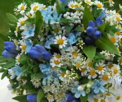 Svatba na Hrubé Skále