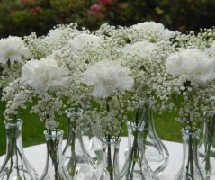 Svatba v Chateau Clara Futura