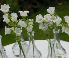 Romantická svatba v bílém