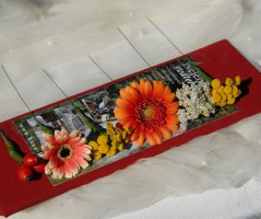 Podzimní svatba... Kristin hrádek