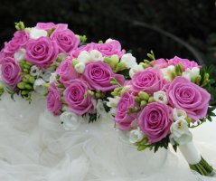 Řůžová svatba