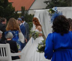 Bleděmodrá svatba v Průhonicích