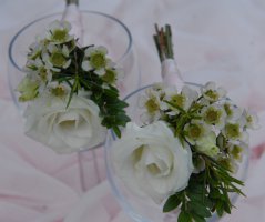 Svatba na zámku Mitrowicz