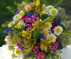 Svatba na kolech v Průhonicích