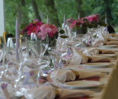 Přímo proti Karlštejnu