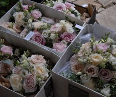 Svatba na zámku Mitrowicz