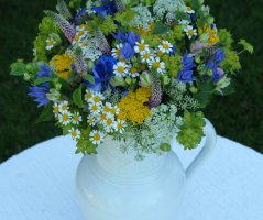 Letní luční svatba