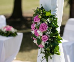 Řůžová svatba