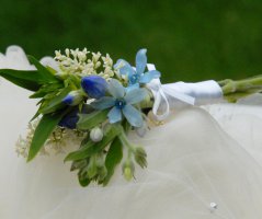 Svatba na Hrubé Skále