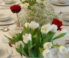 Pro milovníky tulipánů