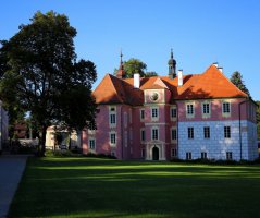 Svatba na zámku Mitrowicz