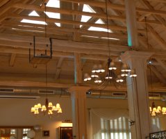 Bleděmodrá svatba v Průhonicích