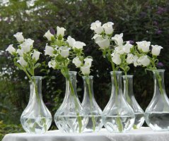 Romantická svatba v bílém