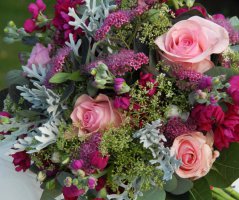 V malinových tónech