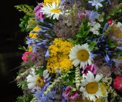 Svatba v hotelu Lony