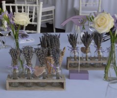 Vůně levandule a Vltavy