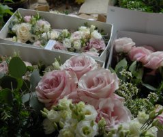 Svatba na zámku Mitrowicz