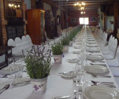 V levandulovém poli