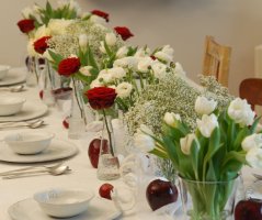 Pro milovníky tulipánů