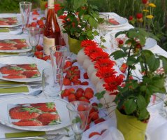 Jahodové potěšení