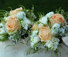 Na statku v Milovicíích