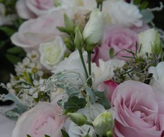 Svatba na zámku Mitrowicz