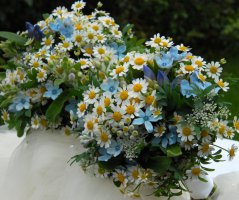 Svatba na Hrubé Skále