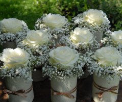 Svatba v Jinočanech