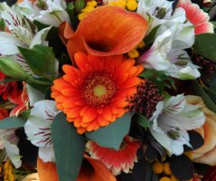 Podzimní svatba... Kristin hrádek