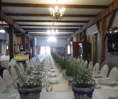 V levandulovém poli