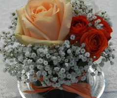 Na statku v Milovicíích