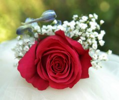 Svatba na Svaté hoře v Příbrami